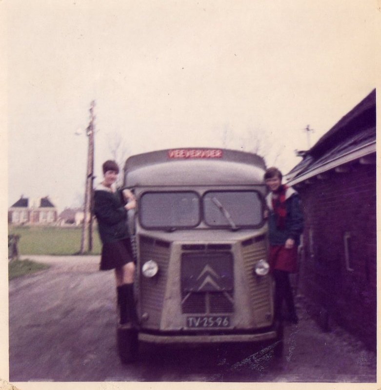oude paarde/veewagen,is gemaakt ongeveer 40 jaar geleden,