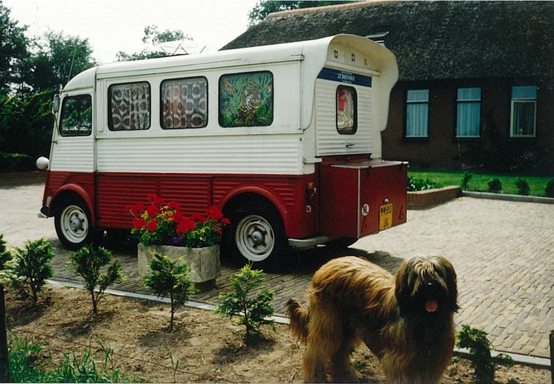 HY rear met Duke.jpg