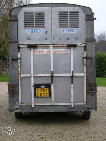 3043372644.jpg