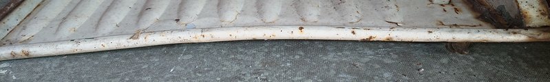 DSC_0392.jpg